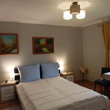 Appartement Mroczkowka à Debowiec  Extérieur photo