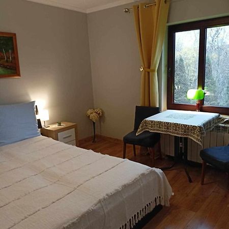 Appartement Mroczkowka à Debowiec  Extérieur photo